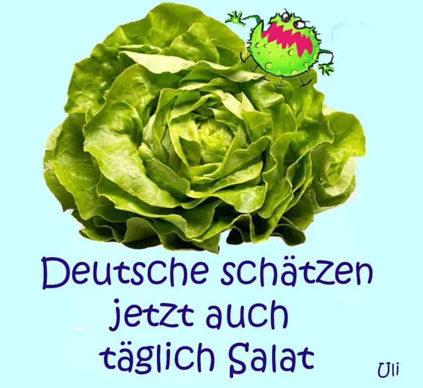 Danke! Jetzt haben wir den Salat Institut für Neuraltherapie